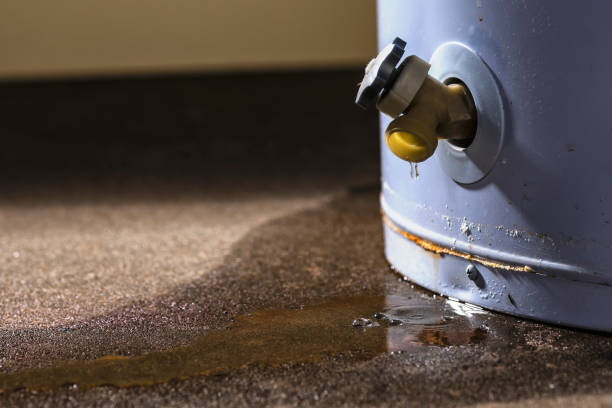 Best Sewage cleanup and water damage restoration  in Meridian, CO