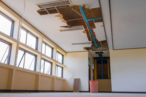 Best Water damage repair service  in Meridian, CO