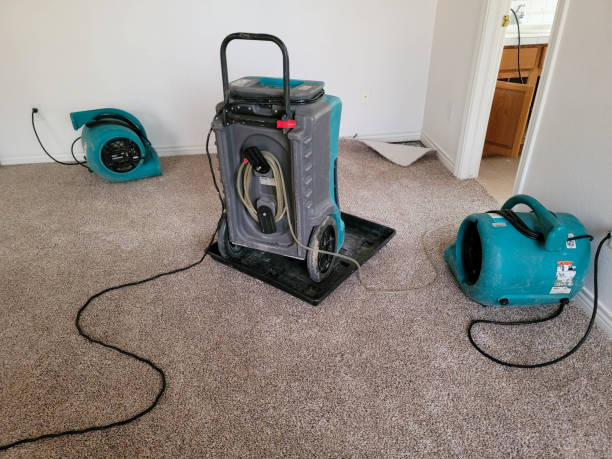 Trusted CO Water damage restoration Experts