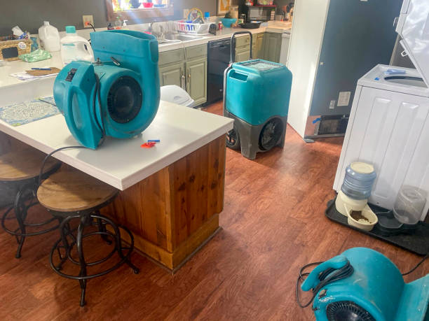 Best Commercial water damage restoration  in Meridian, CO