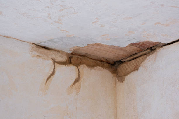 Best Water damage restoration near me  in Meridian, CO