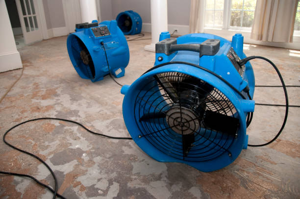 Best Residential water damage restoration  in Meridian, CO