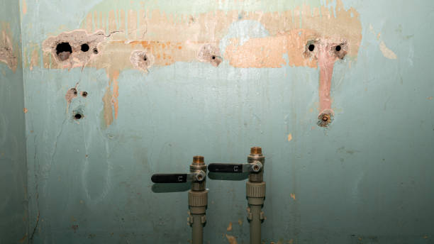 Best Water damage restoration specialists  in Meridian, CO