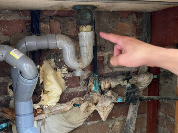  Meridian, CO Water damage restoration Pros