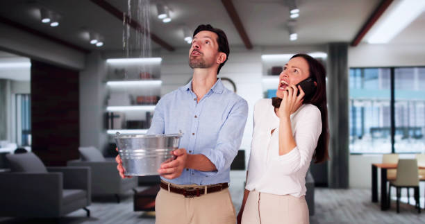 Best Water damage restoration near me  in Meridian, CO